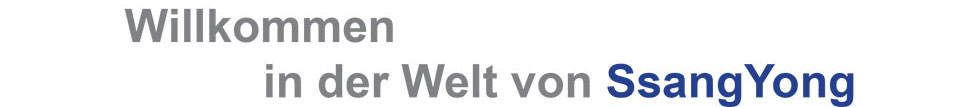 ssang yong welt